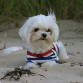 LOLA EN LA PLAYA VIENDO LAS OLAS Y PENSANDO.